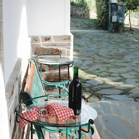 Quinta Casas - Douro Winery & Vakantiehuis Vila Real