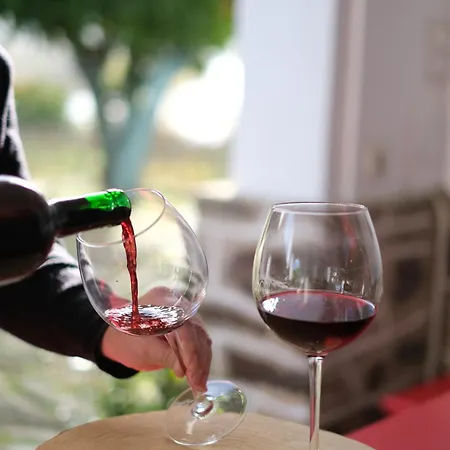 Quinta Casas - Douro Winery & Vakantiehuis *