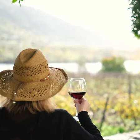 Quinta Casas - Douro Winery & * Vila Real