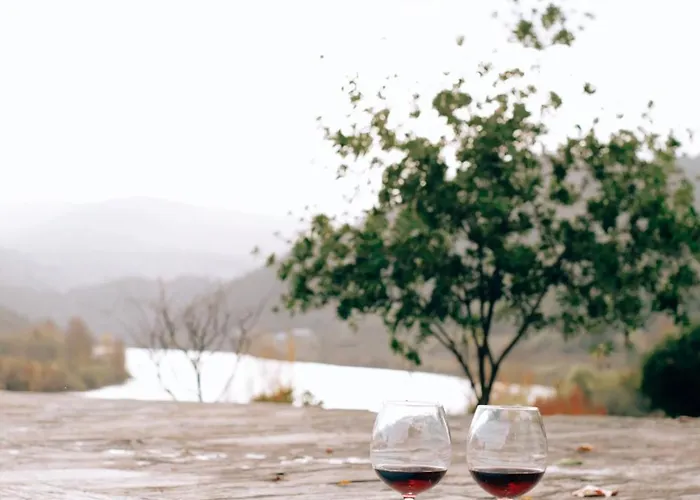 Quinta Casas - Douro Winery & * Vila Real