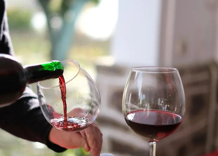 Quinta Casas - Douro Winery & Casa de Férias *