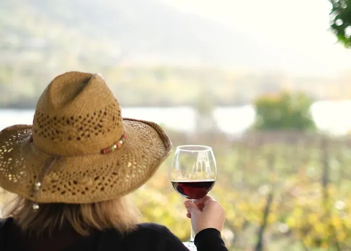 Quinta Casas - Douro Winery & * Vila Real